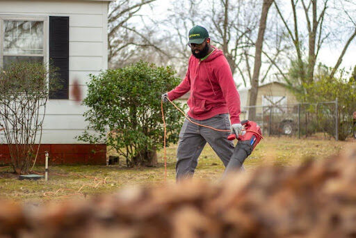 Everything You Need to Know Before Purchasing a Leaf Blower